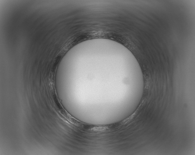 X0000052630179200507011043