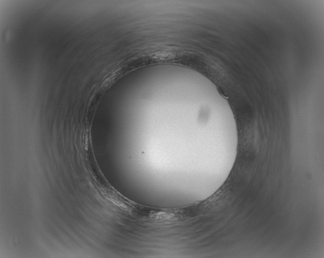 X0000052630180200507011043