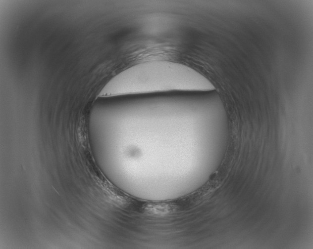 X0000052630181200507011043