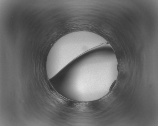 X0000052630182200507011043