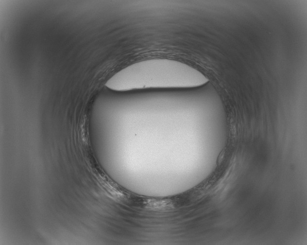 X0000052630185200507011043