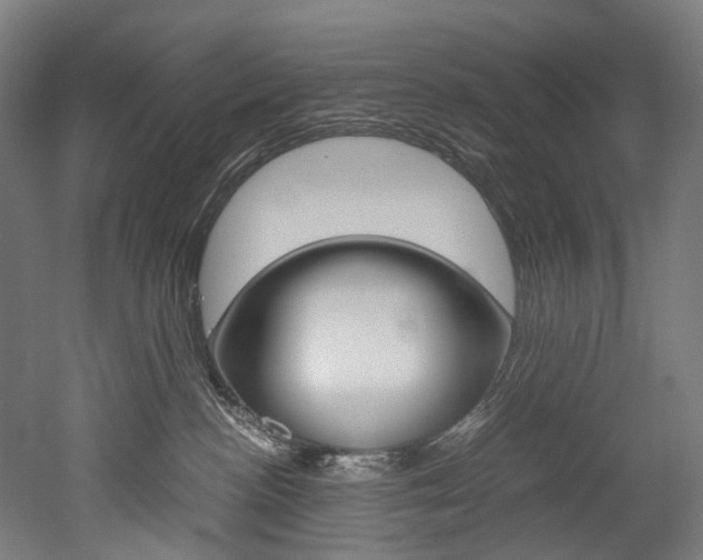 X0000052630188200507011043