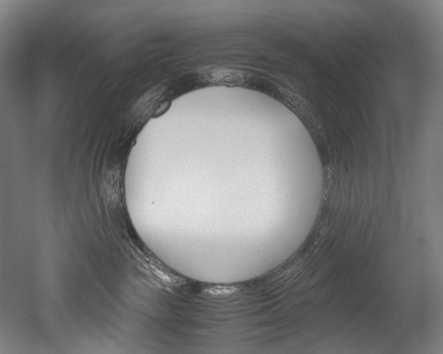 X0000052630189200507011043