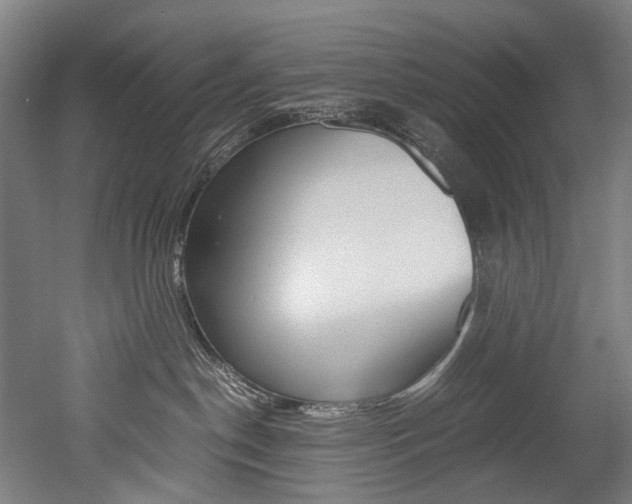 X0000052630190200507011043