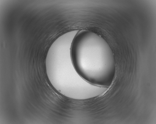 X0000052630192200507011043