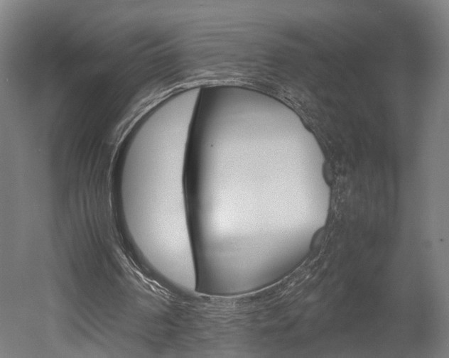 X0000052630194200507011042