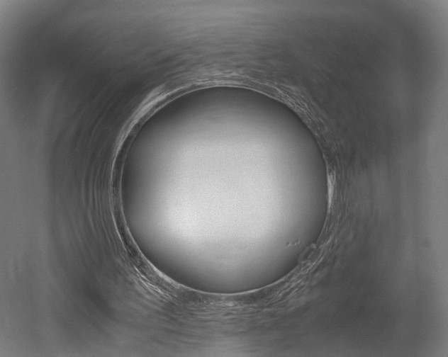 X0000052630195200507011042