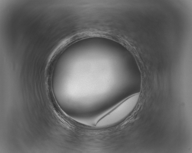 X0000052630197200507011042