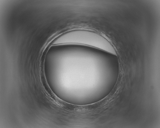 X0000052630199200507011042
