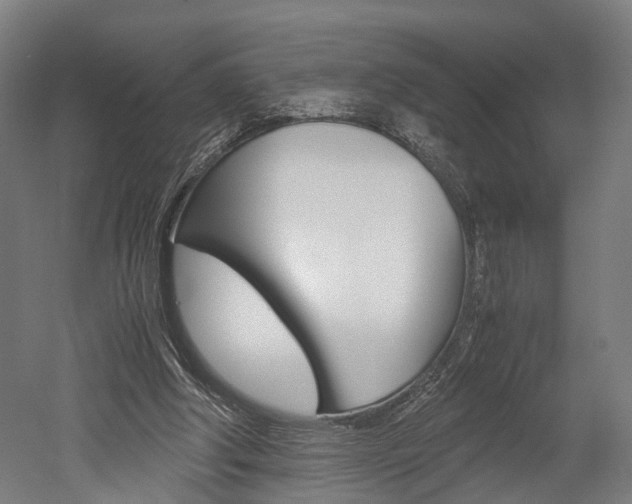 X0000052630202200507011042