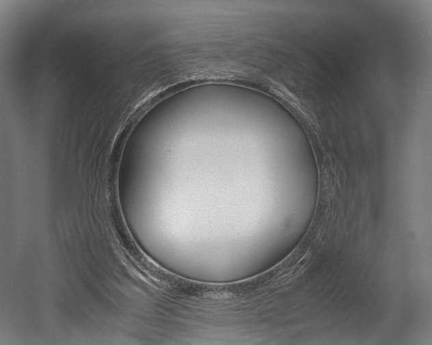 X0000052630203200507011042