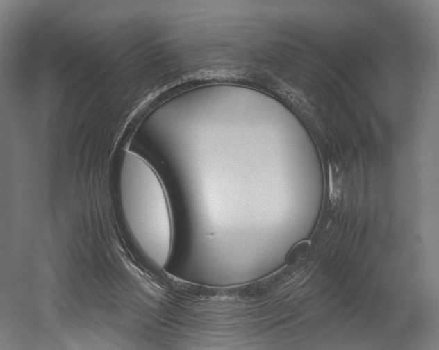 X0000052630204200507011042