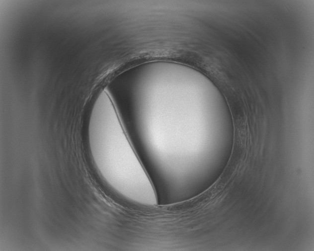 X0000052630207200507011042
