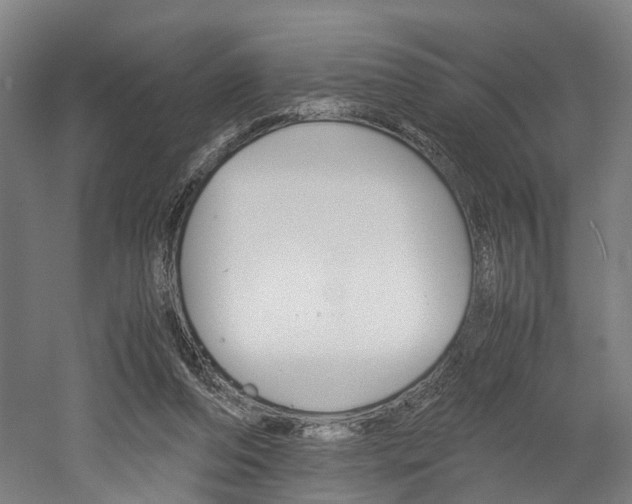 X0000052630208200507011042