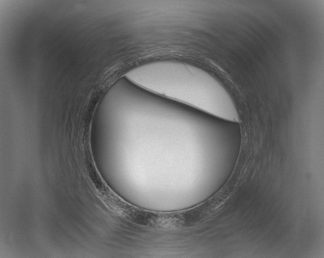 X0000052630209200507011042