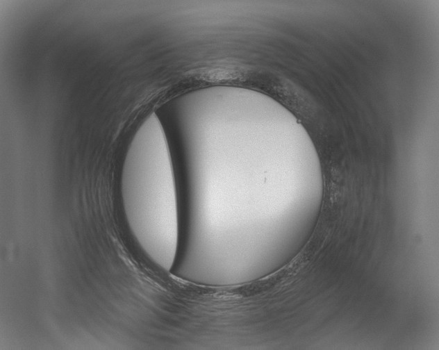 X0000052630210200507011042
