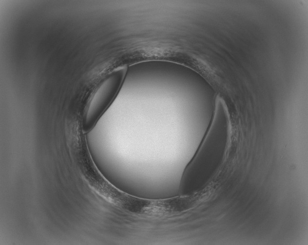 X0000052630211200507011042