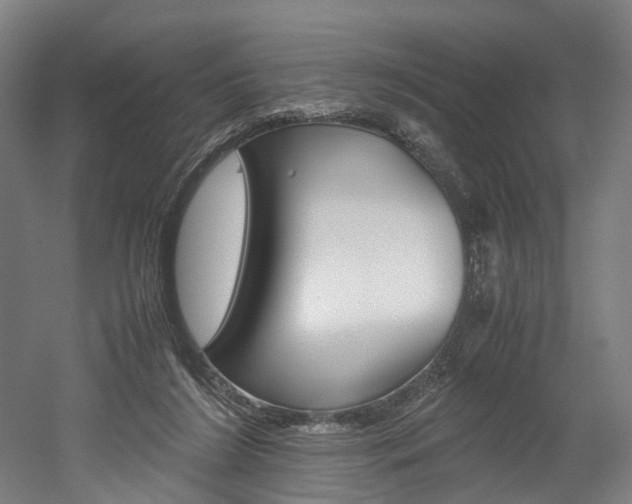 X0000052630212200507011042