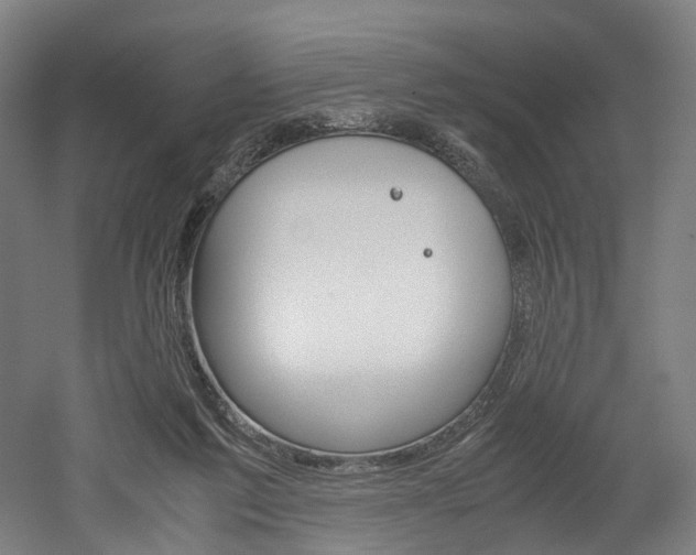X0000052630213200507011042