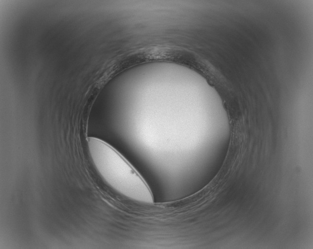 X0000052630217200507011042