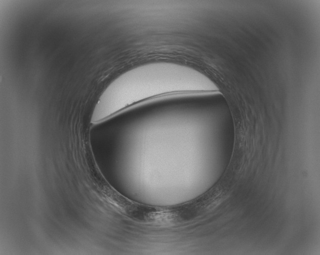 X0000052630219200507011042