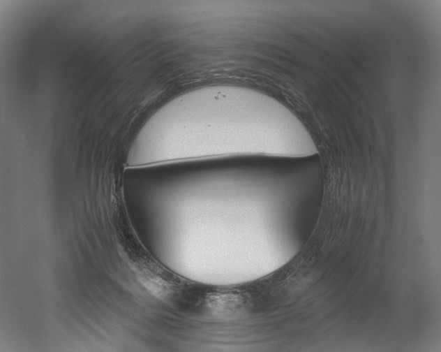 X0000052630220200507011042