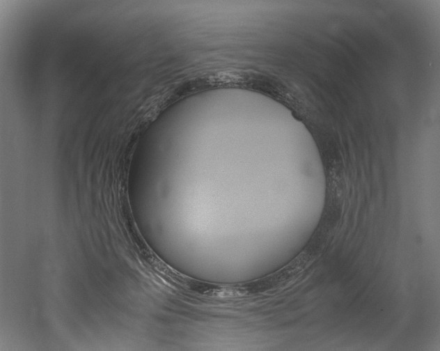 X0000052630223200507011042