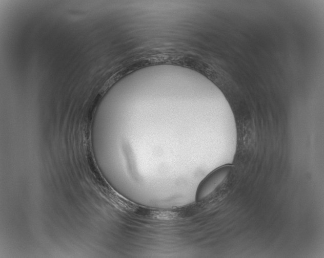 X0000052630226200507011042
