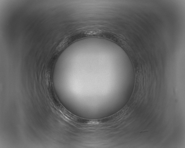 X0000052630227200507011042