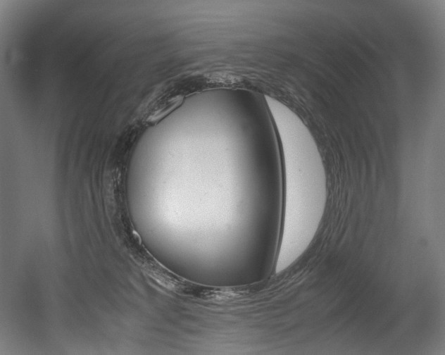 X0000052630229200507011042