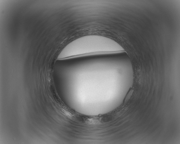 X0000052630232200507011042