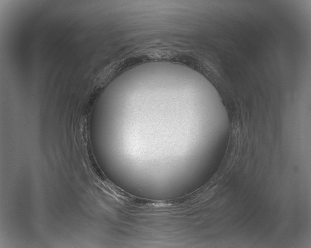X0000052630233200507011042