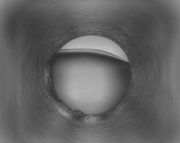 X0000052630235200507011042