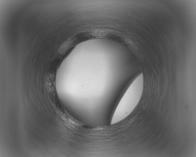 X0000052630237200507011042