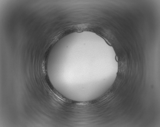 X0000052630238200507011042