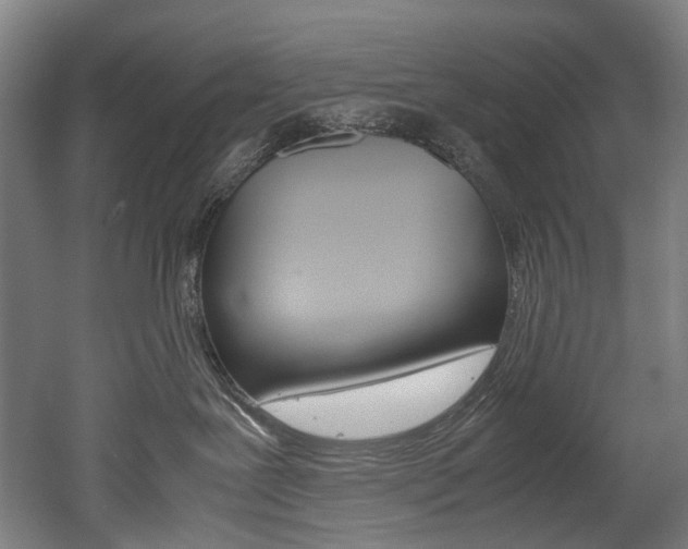 X0000052630239200507011042