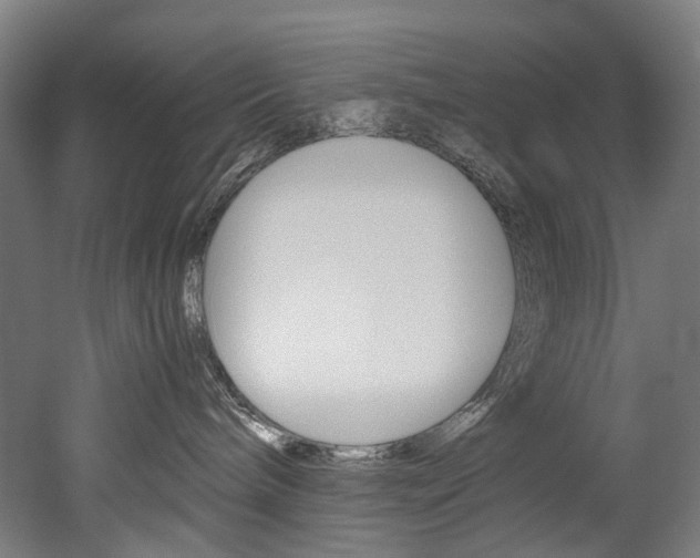 X0000052630240200507011042