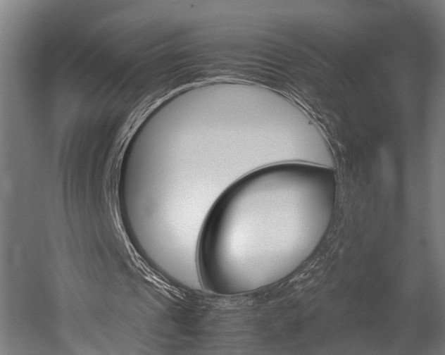 X0000052630241200507011041