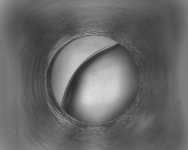 X0000052630242200507011041