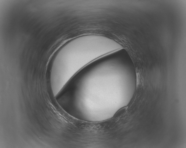 X0000052630243200507011041