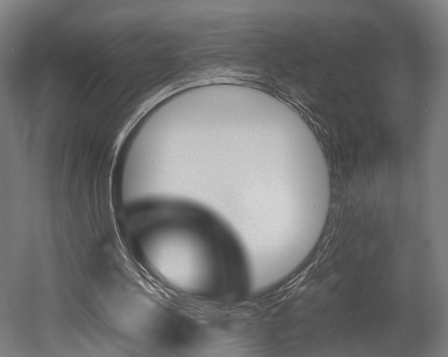 X0000052630244200507011041