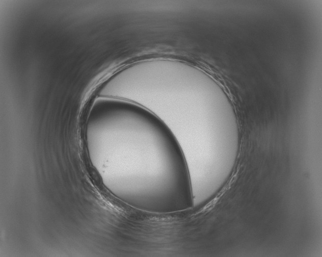 X0000052630245200507011041