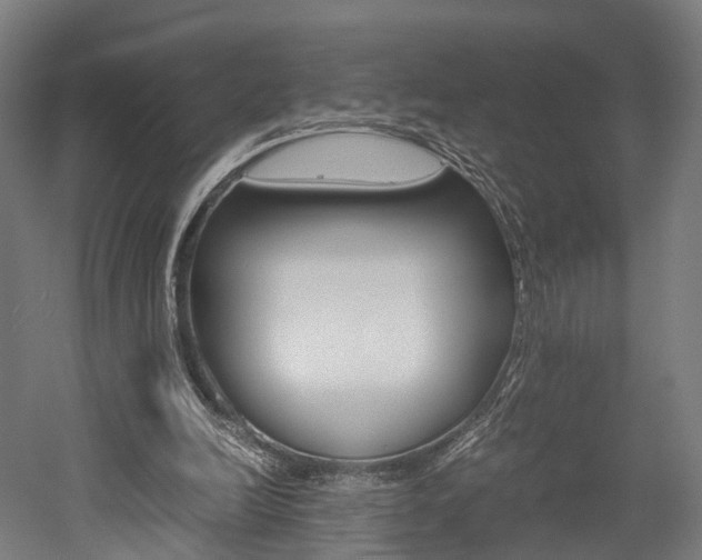 X0000052630246200507011041