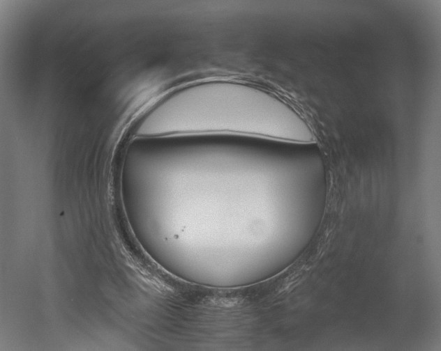 X0000052630247200507011041