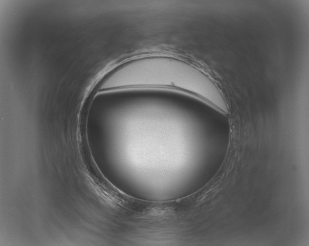 X0000052630248200507011041