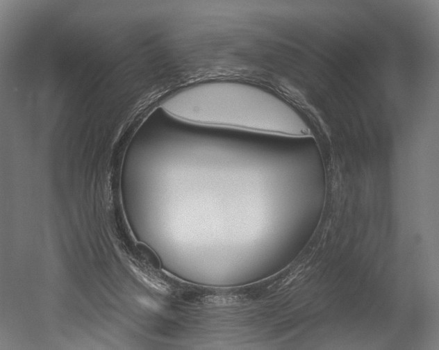 X0000052630250200507011041