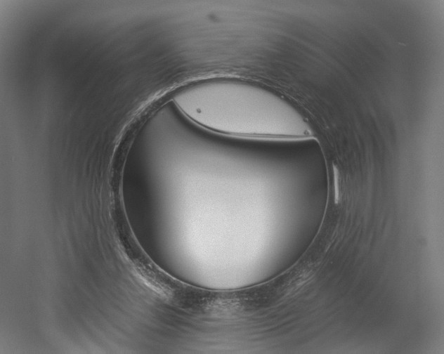 X0000052630252200507011041
