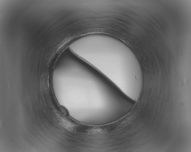 X0000052630253200507011041