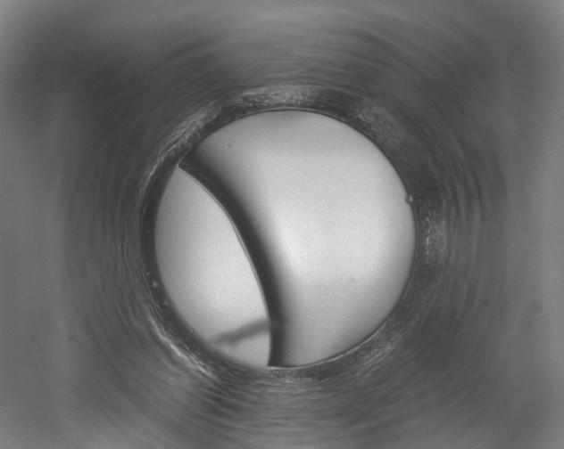 X0000052630254200507011041