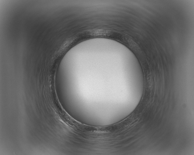 X0000052630255200507011041